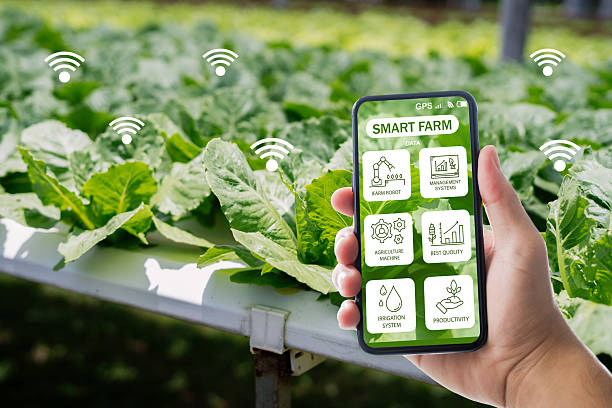 A hand holds a smartphone displaying features of smart farming technology in a lush green field. The focus is on innovation and sustainable agriculture.